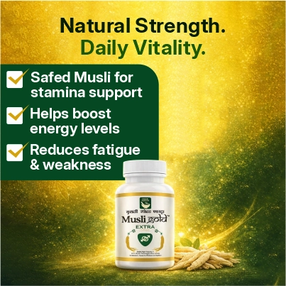 Product Highlight 2