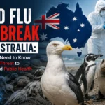 Bird Flu Outbreak in Australia: What You Need to Know About the Threat to Wildlife and Public Health